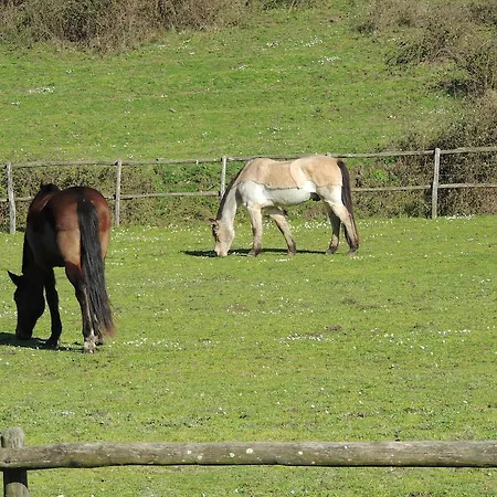 Country Relais I Due Laghi *